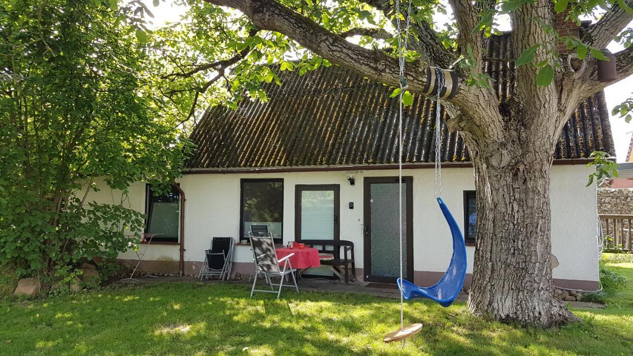 Ferienhaus Kunterbunt II Хитцакер Екстериор снимка